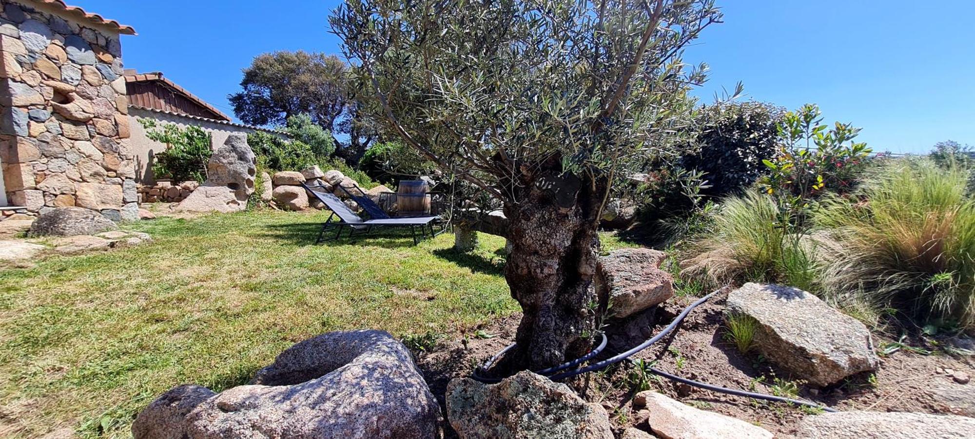 Bergerie A Sapara Pianottoli-Caldarello  Exterior foto